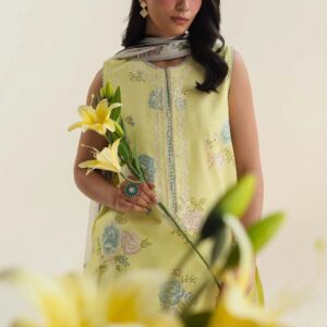 3PC Heavy Suit Front shirt heavy Cross Stiched shirt embroidery