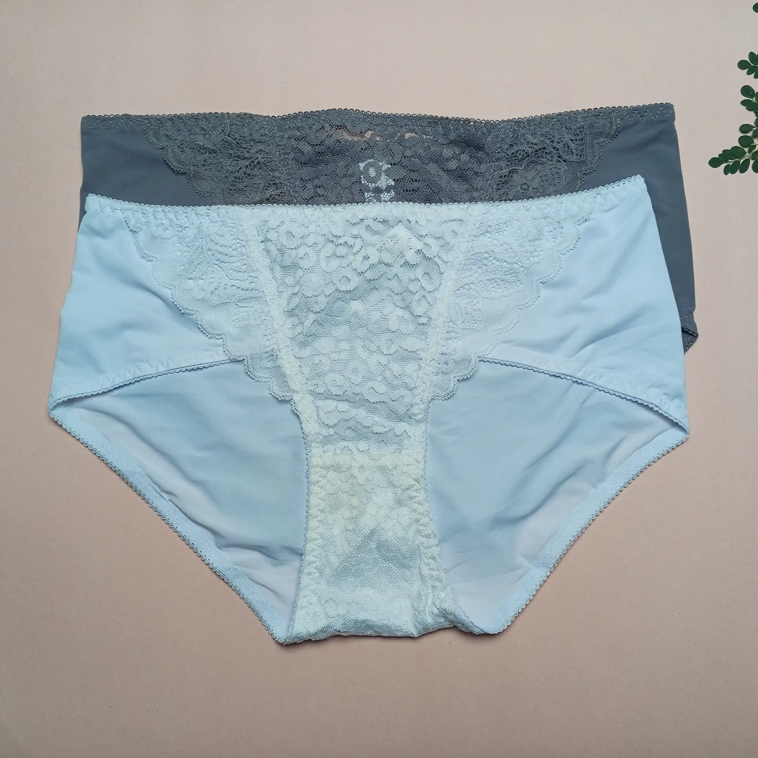 Silky Lace Panty Pack Of 2