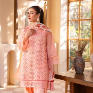 3PC Heavy Suit Front shirt heavy Chiken Kari shirt embroidery