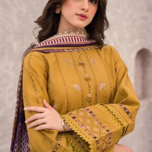 3PC Heavy Suit Front shirt Daman embroidery