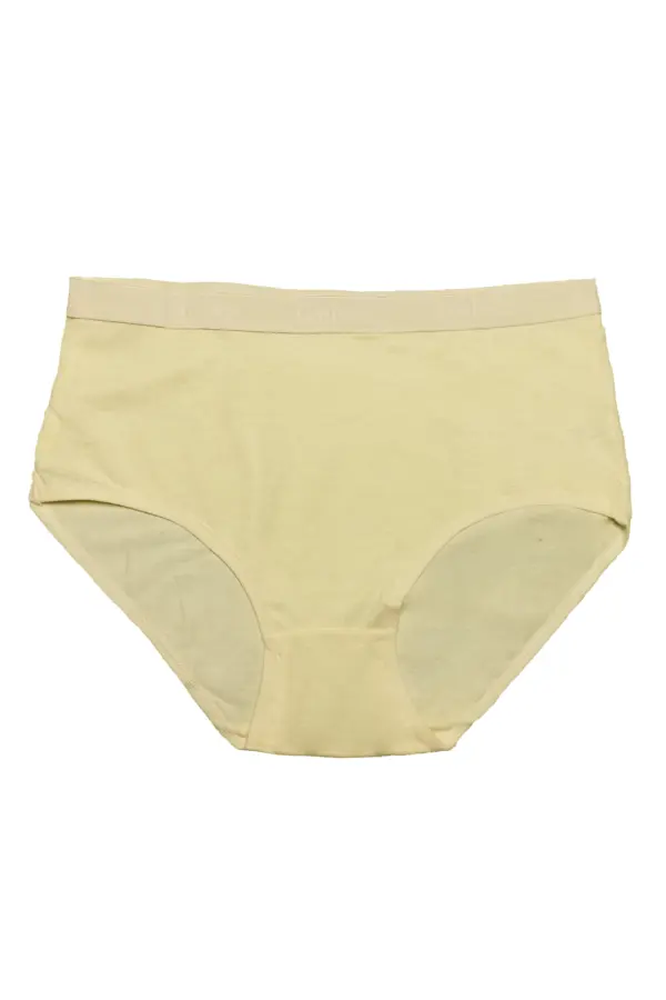 Poly Cotton Panty Full Cover - Image 2