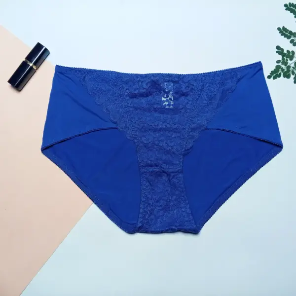 Silky Lace High-Waist Panty - Image 4