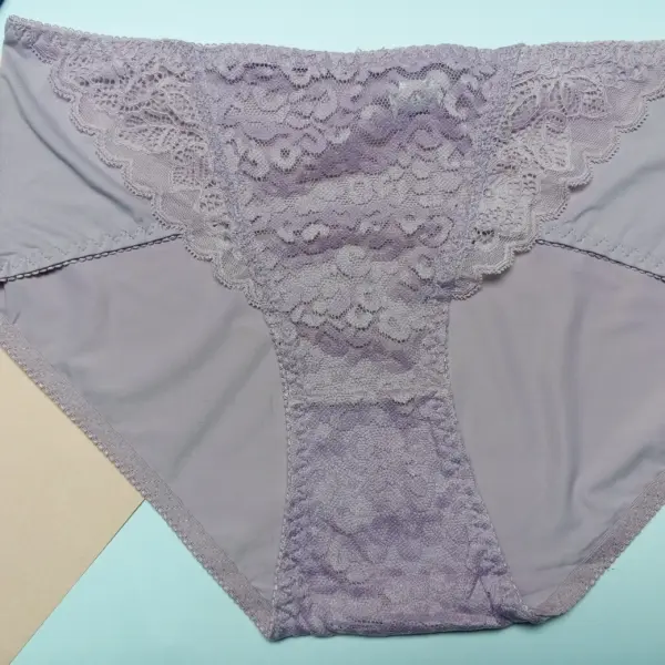 Silky Lace High-Waist Panty - Image 9