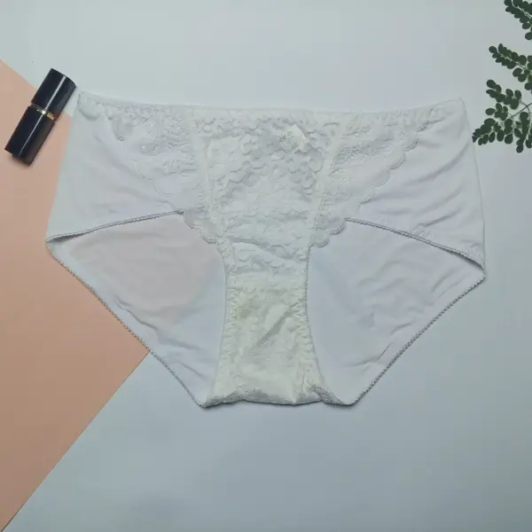 Silky Lace High-Waist Panty - Image 8