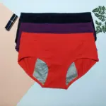 Periods Panties Set of 3