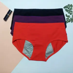 Periods Panties Set of 3
