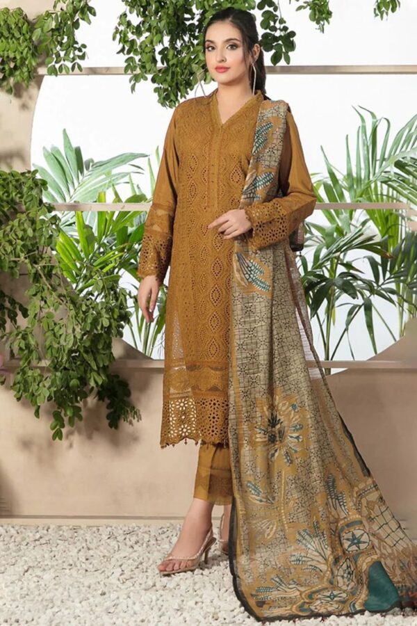 Cahrizma, 3PC Heavy Suit Front shirt heavy Chiken Kari shirt embroidery - Image 2