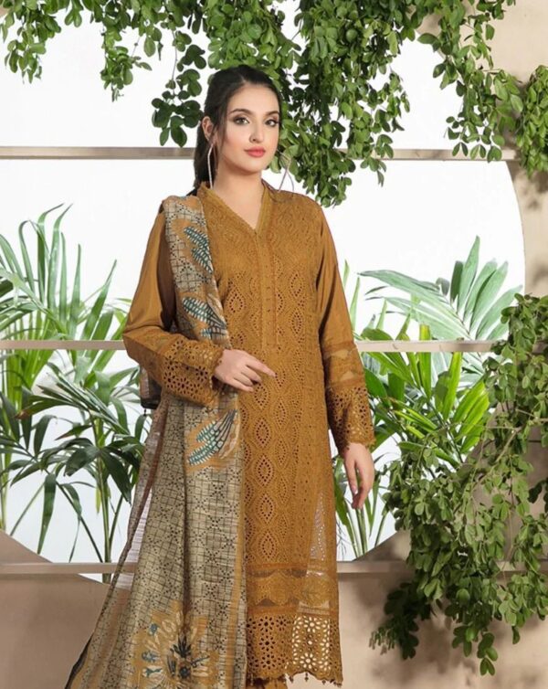 Cahrizma, 3PC Heavy Suit Front shirt heavy Chiken Kari shirt embroidery - Image 4